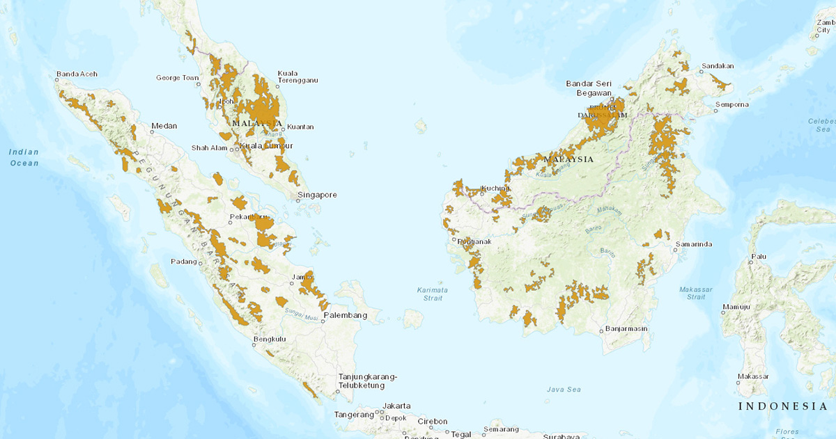 Суматранская кошка (Prionailurus planiceps) Ареал обитания на карте