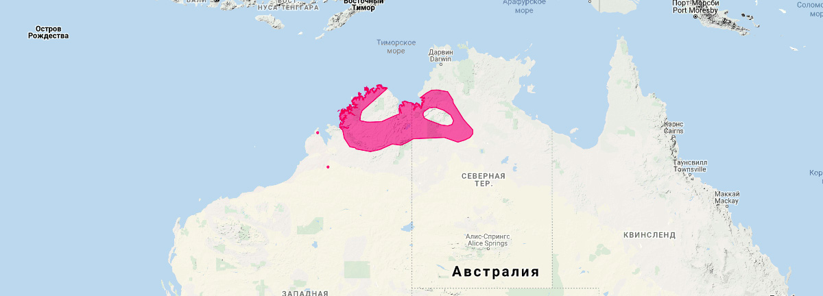 Кимберлийская сумчатая мышь (Pseudantechinus ningbing) Ареал обитания на карте