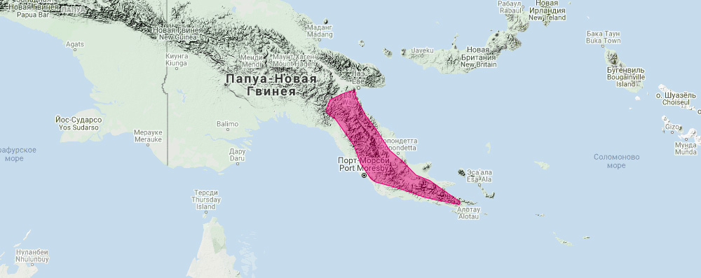 Кускус Форбса (Pseudochirulus forbesi) Ареал обитания на карте
