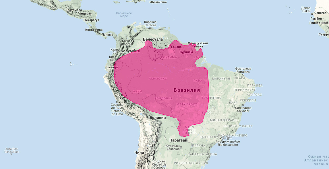 Гигантская выдра (Pteronura brasiliensis) Ареал обитания на карте
