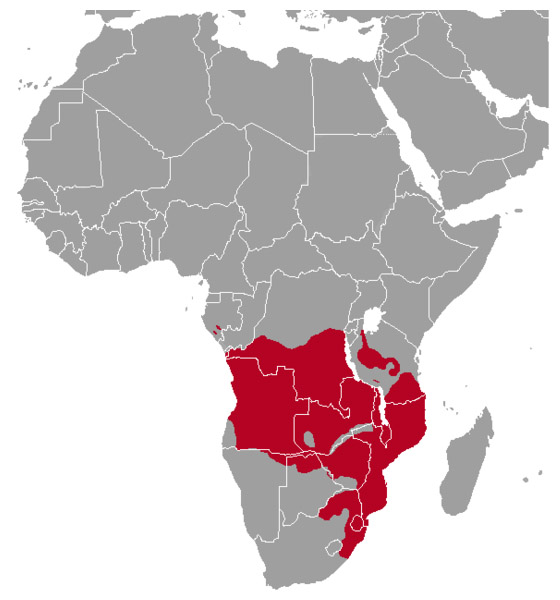 Redunca arundinum Ареал обитания на карте