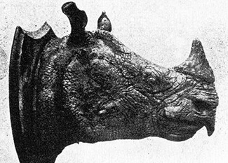 Rhinoceros sondaicus annamiticus