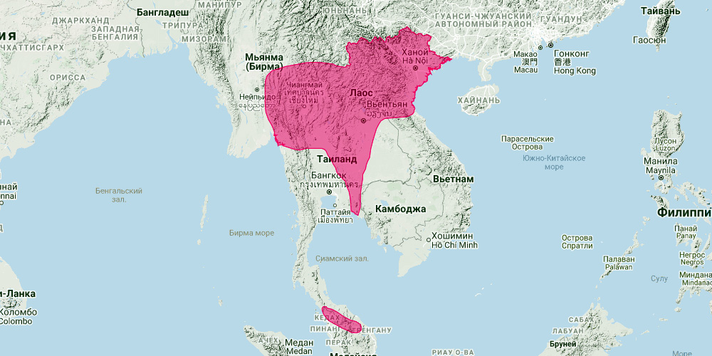 Таиландский подковонос (Rhinolophus marshalli) Ареал обитания на карте