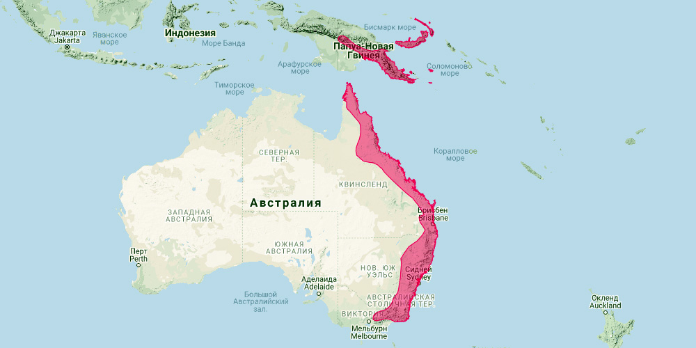 Австралийский подковонос (Rhinolophus megaphyllus) Ареал обитания на карте