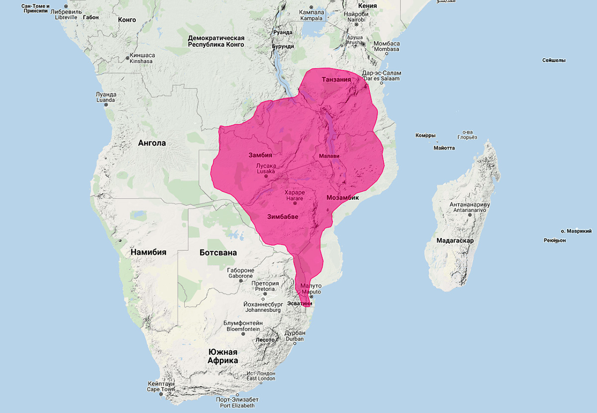 Умби (Rhynchogale melleri) Ареал обитания на карте