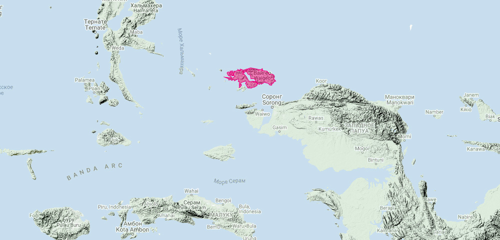 Папуасский Кускус (Spilocuscus papuensis) Ареал обитания на карте