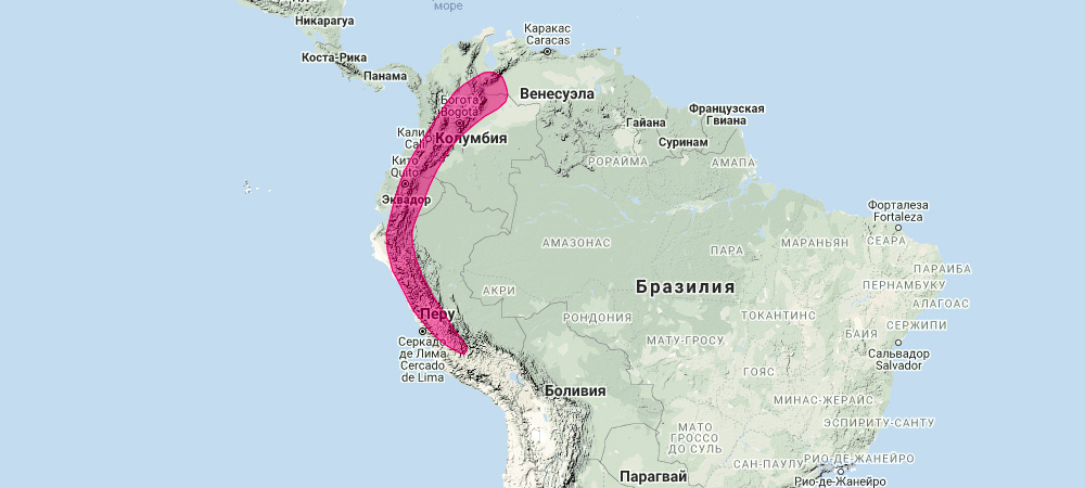 Двурезцовый листонос (Sturnira bidens) Ареал обитания на карте