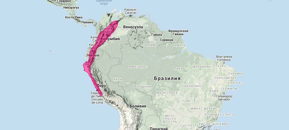 Боготский листонос (Sturnira bogotensis) Ареал обитания на карте