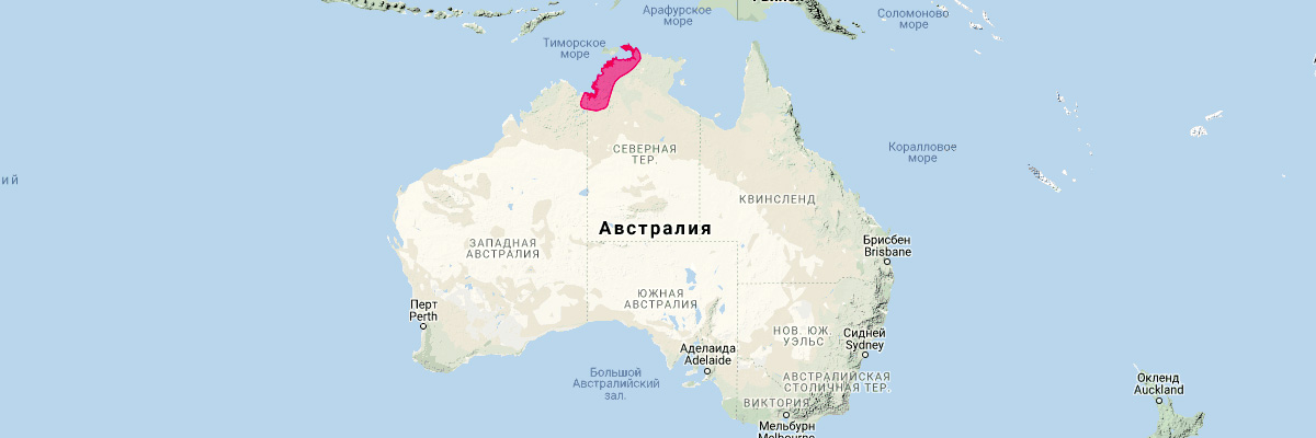 Арнхемский мешкокрыл (Taphozous kapalgensis) Ареал обитания на карте