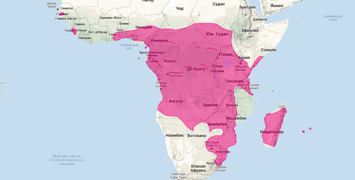 Южноафриканский мешкокрыл (Taphozous mauritianus) Ареал обитания на карте