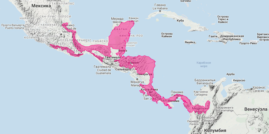 Центральноамериканский тапир (Tapirella bairdii) Ареал обитания на карте