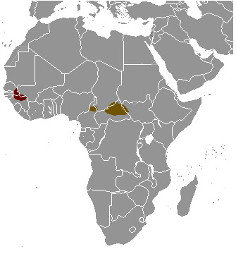 Taurotragus derbianus Ареал обитания на карте