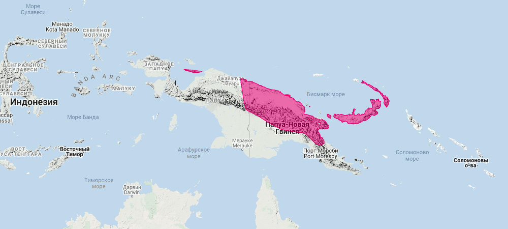 Филандер Брауна (Thylogale browni) Ареал обитания на карте