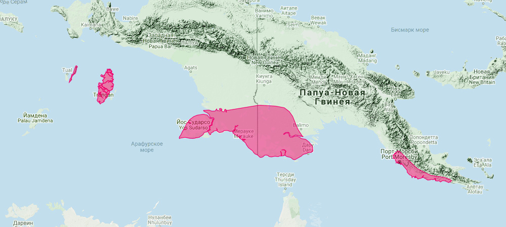 Новогвинейский филандер (Thylogale brunii) Ареал обитания на карте