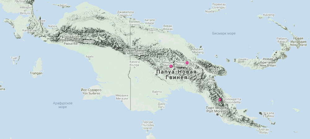 Филандер Калаби (Thylogale calabyi) Ареал обитания на карте