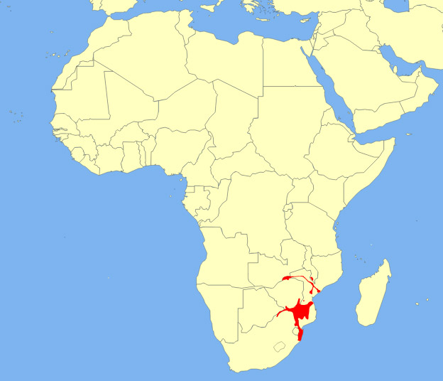 Tragelaphus angasii Ареал обитания на карте