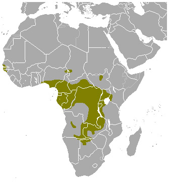 Tragelaphus spekii Ареал обитания на карте
