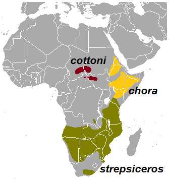 Tragelaphus strepsiceros Ареал обитания на карте