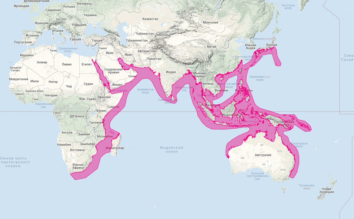 Индийская афалина (Tursiops aduncus) Ареал обитания на карте