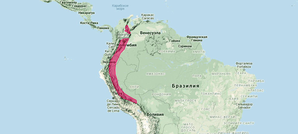 Листонос Мелиссы (Vampyressa melissa) Ареал обитания на карте