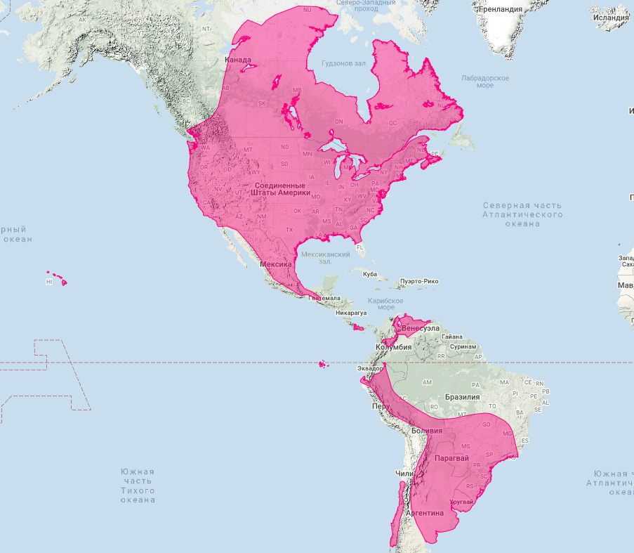Серый волосатохвост (Aeorestes cinereus) Ареал обитания на карте