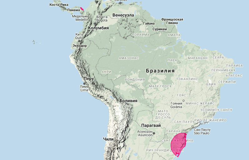 Большой красный волосатохвост (Aeorestes egregius) Ареал обитания на карте