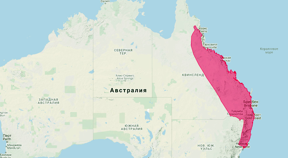 Большой крысиный кенгуру (Aepyprymnus rufescens) Ареал обитания на карте