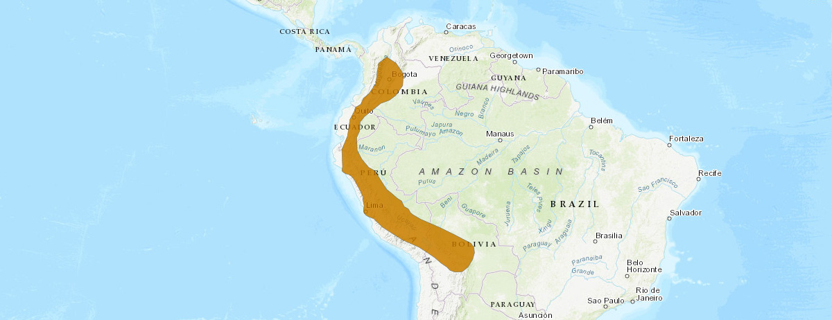 Anoura peruana (Anoura peruana) Ареал обитания на карте