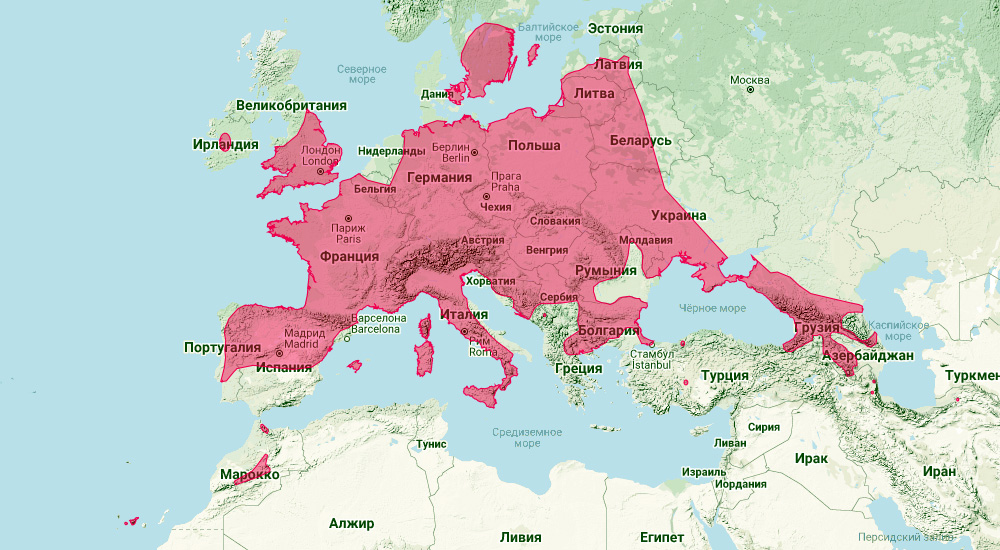 Европейская широкоушка (Barbastella barbastellus) Ареал обитания на карте