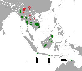 Bos javanicus Ареал обитания на карте