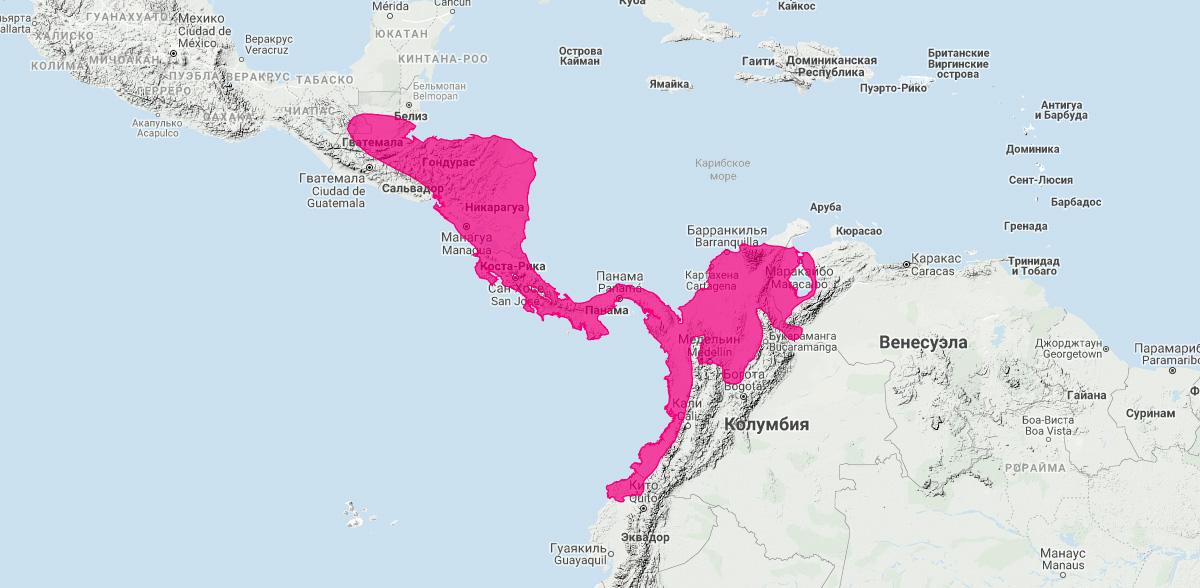 Центральноамериканский броненосец (Cabassous centralis) Ареал обитания на карте