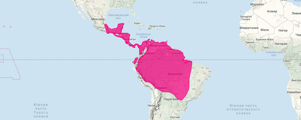 Венесуэльский листонос (Chiroderma villosum) Ареал обитания на карте
