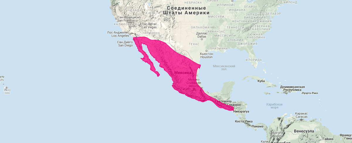 Мексиканский длиннонос (Choeronycteris mexicana) Ареал обитания на карте
