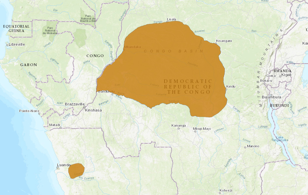Ангольский кузиманзе (Crossarchus ansorgei) Ареал обитания на карте
