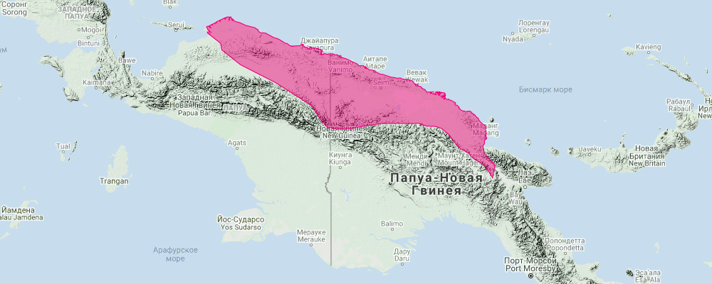 Кенгуру Хагена (Dorcopsis hageni) Ареал обитания на карте
