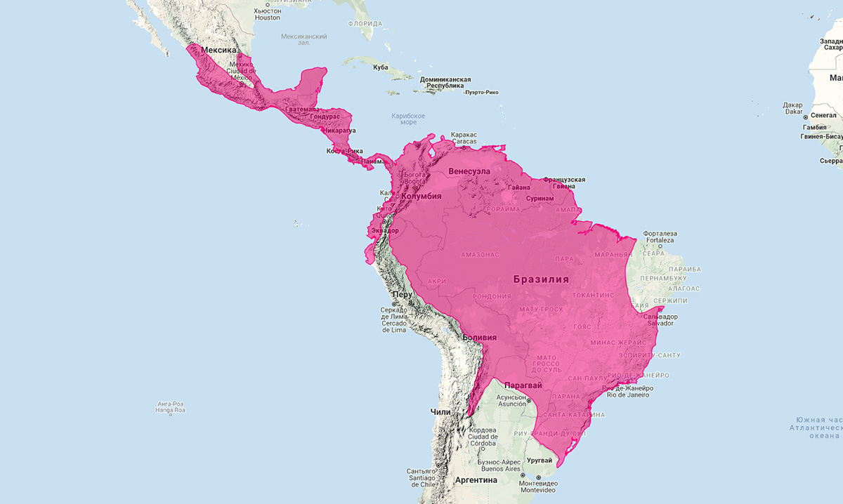Тайра (Eira barbara) Ареал обитания на карте