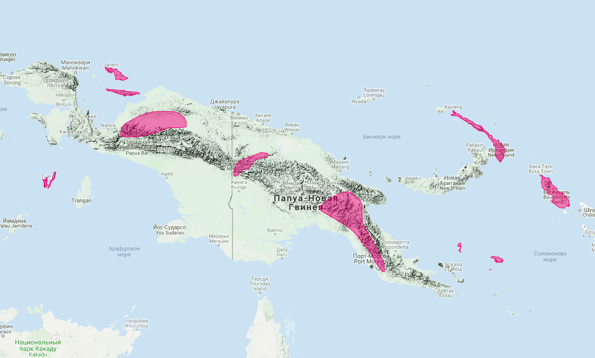 Мешкокрыл Беккари (Emballonura beccarii) Ареал обитания на карте