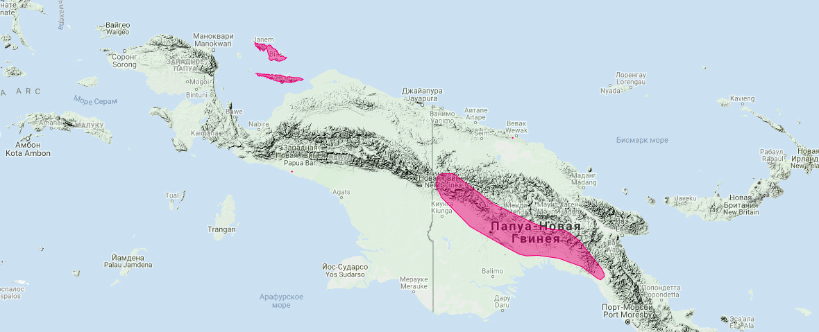 Новогвинейский мешкокрыл (Emballonura furax) Ареал обитания на карте