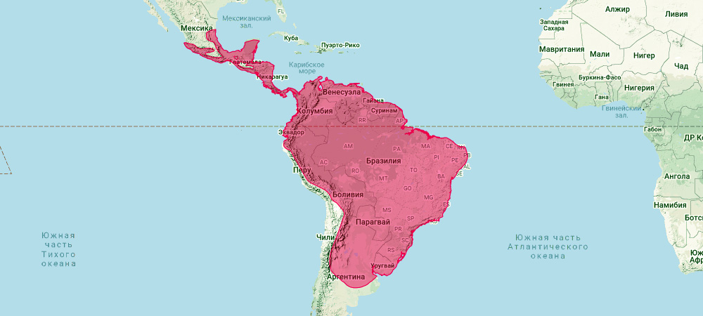 Аргентинский кожан (Eptesicus furinalis) Ареал обитания на карте