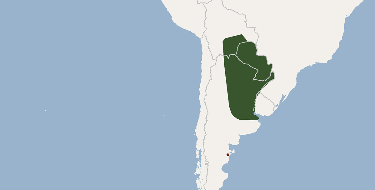 Eumops patagonicus - ареал обитания подвидов на карте