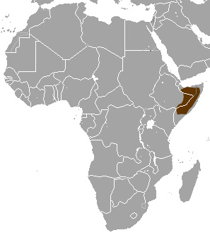 Сомалийский мангуст (Galerella ochracea) Ареал обитания на карте