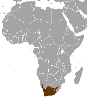Южноафриканский мангуст (Galerella pulverulenta) Ареал обитания на карте