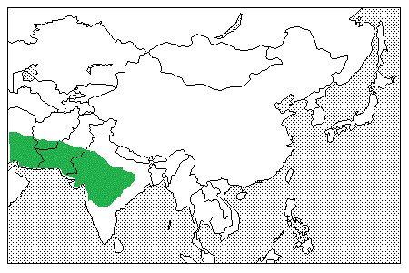 Gazella bennettii Ареал обитания на карте