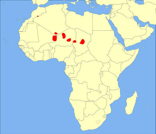 Gazella dama Ареал обитания на карте