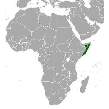 Gazella spekei Ареал обитания на карте