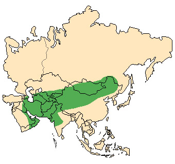 Gazella subgutturosa Ареал обитания на карте