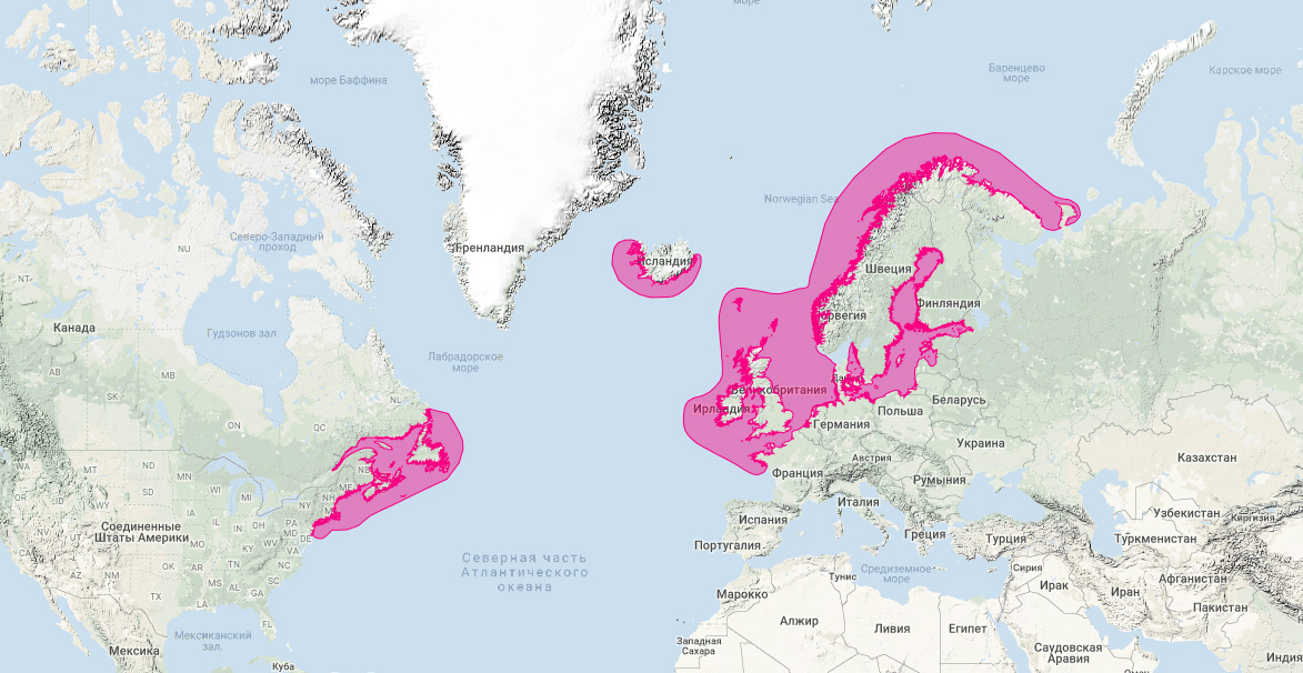 Длинномордый тюлень (Halichoerus grypus) Ареал обитания на карте