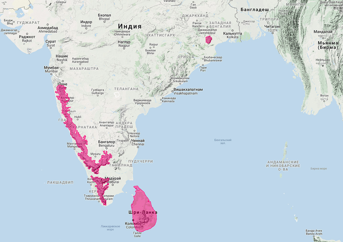 Полосатошейный мангуст (Herpestes vitticollis) Ареал обитания на карте
