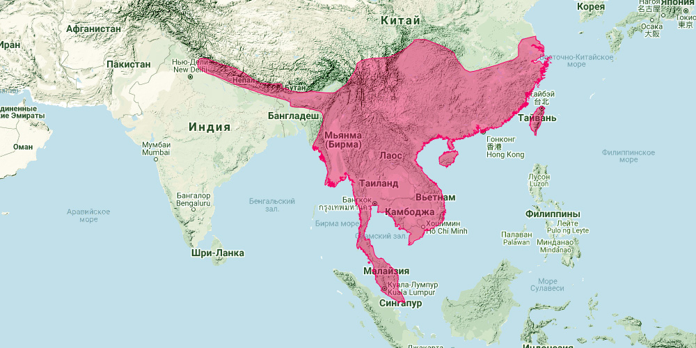 Гималайский листонос (Hipposideros armiger) Ареал обитания на карте