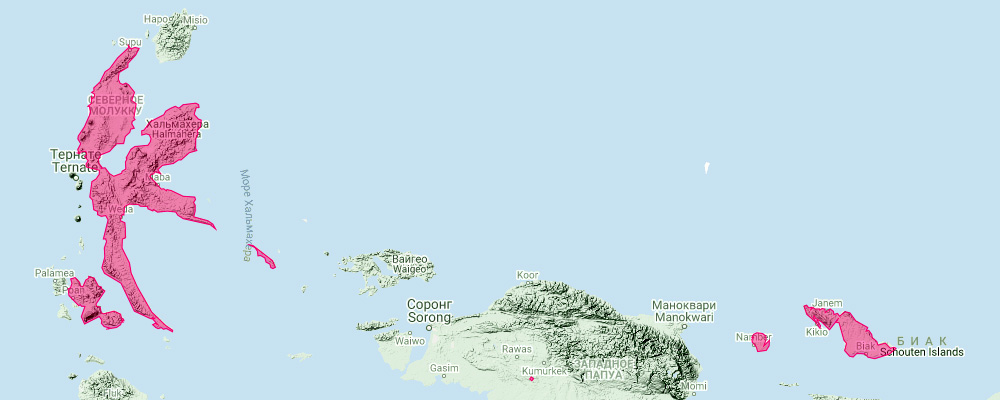 Папуанский листонос (Hipposideros papua) Ареал обитания на карте